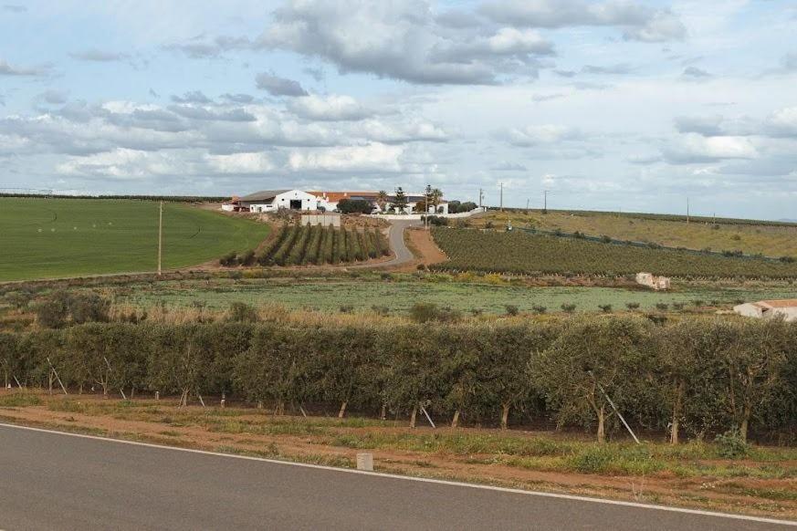 Quinta Do Castelo Hotell Beja Eksteriør bilde